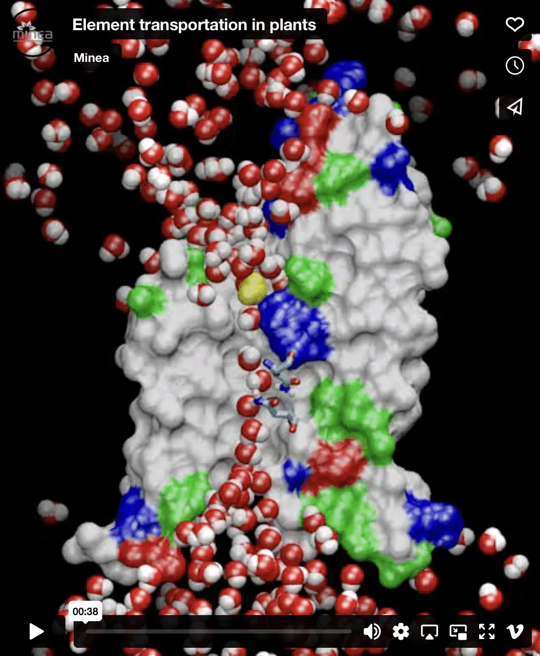 Element transportation in plants